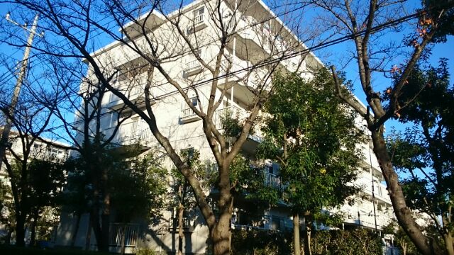 UR都市機構三郷早稲田団地5-2-1