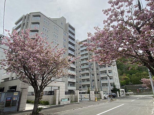 ミッドマークス円山桜の邸