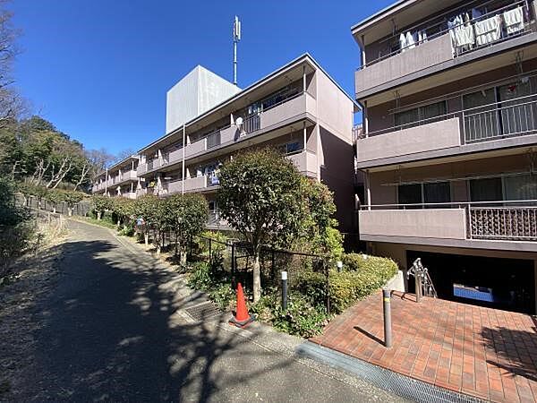 コスモ綱島台1号館